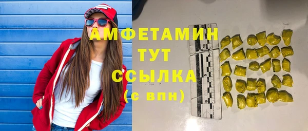 мдпв Лагань
