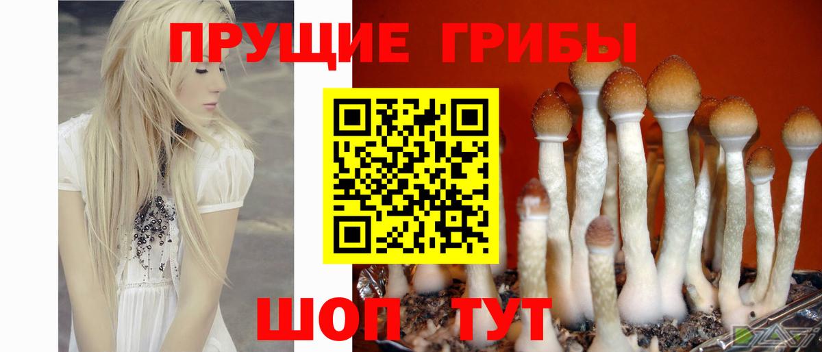 Галлюциногенные грибы мицелий Таганрог